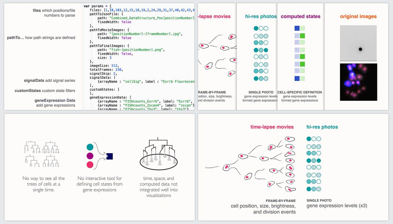 page/cell-lines-documentation-28751510c889c5b6dc220a6d6120cd3387688ce04514ee21195c1722a48800ac.jpg